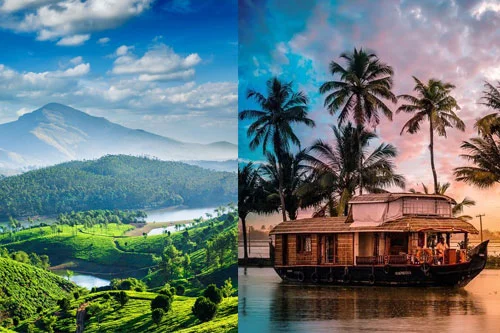 Domestic Tours