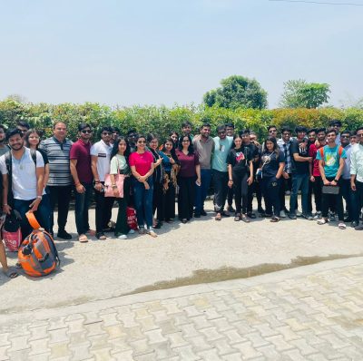 Images - Trips on Tips (27)